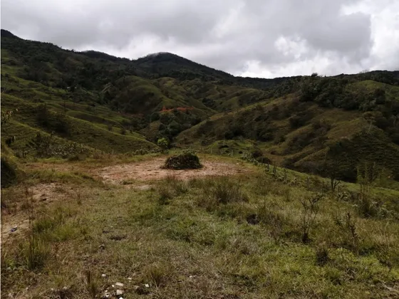Lote En Venta Vereda Tocaima - Alejandría 