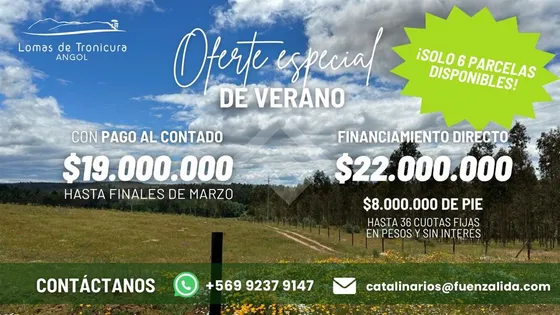 Parcela En Venta En Angol Oferta Lanzamiento