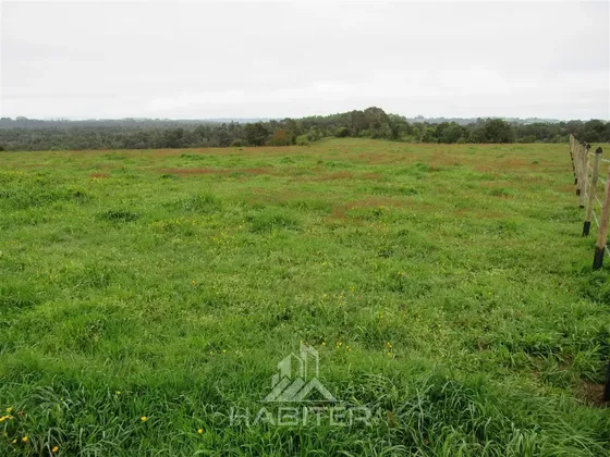Agrícola En Venta En Los Muermos
