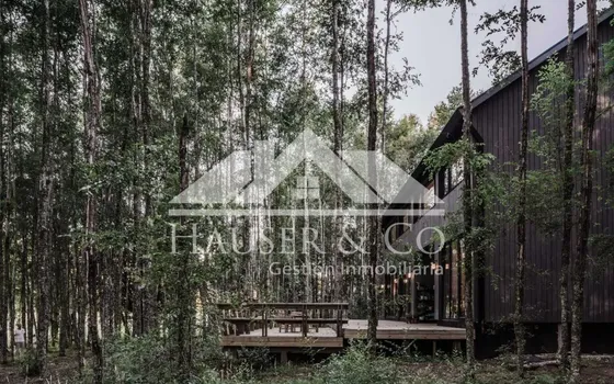 Vive En Casa Bosque Villarrica | 4dorm 3b Cercano C. Aleman