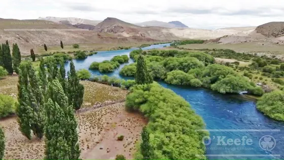 Campo En Venta En Rio Negro 176 Has - Exclusivo Sobre El Rio Limay. Ideal Flyfishing!