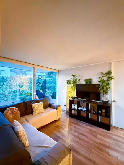 Arriendo Depto Tipo Mariposa, Viña Del Mar (177454)