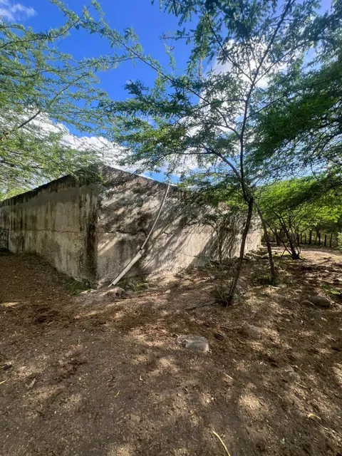 Venta De Finca Ganadera En San José De Las Matas