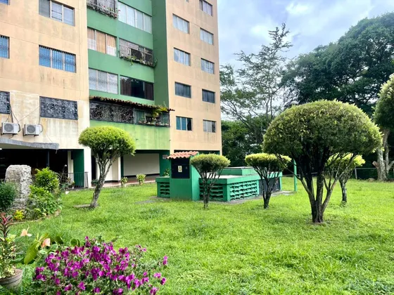 Mg Apartamento En Venta En Torre Oasis