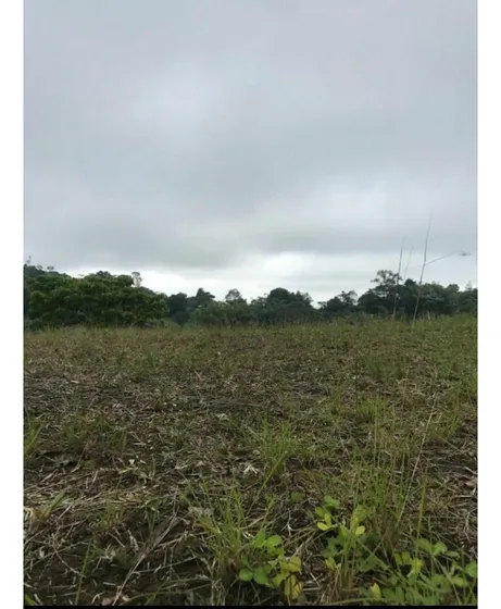 Venta Lotes En Condominio Vía Pereira Armenia