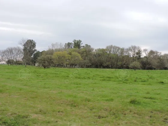 2500 Has - Campo En Venta - Campo Para Todo El Año !!!!