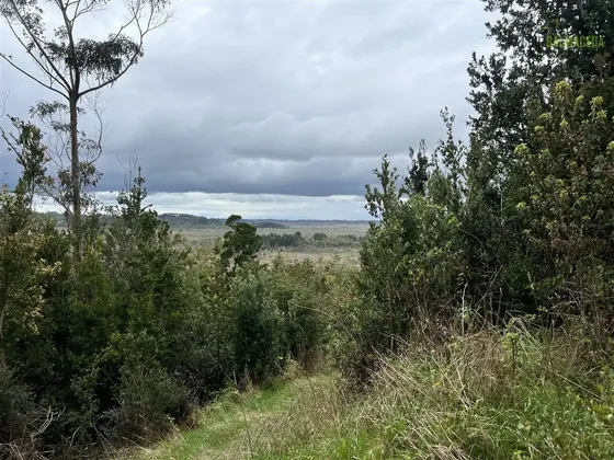 Agrícola En Venta En Puerto Montt