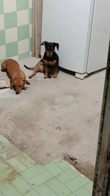 Doação 