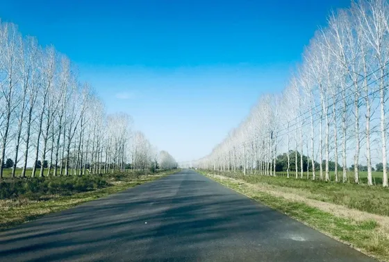 Terreno En Canning