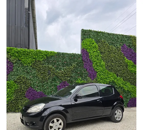 Ford Ka 1.6 Pulse 95cv