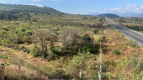 Hectáreas En Venta En Chiquimitío (tarímbaro)