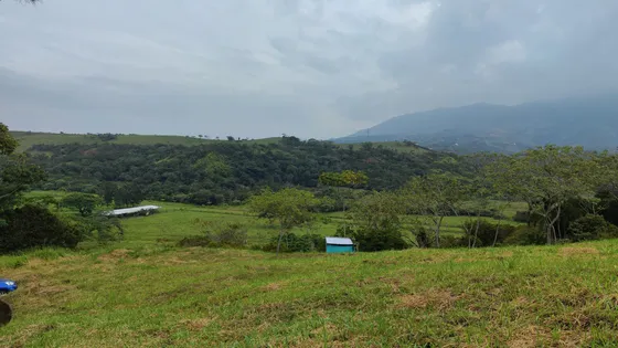 Espectacular Lote Campestre De 6000 M² En Lomas Del Viento: Tu Oportunidad De Inversión Ideal