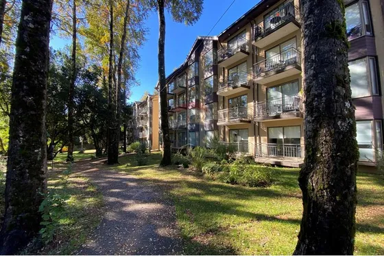 Venta Dpto. En Nuevo Parque Suizo Pucón
