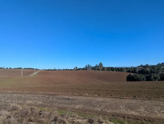 Agrícola En Venta En San Pablo