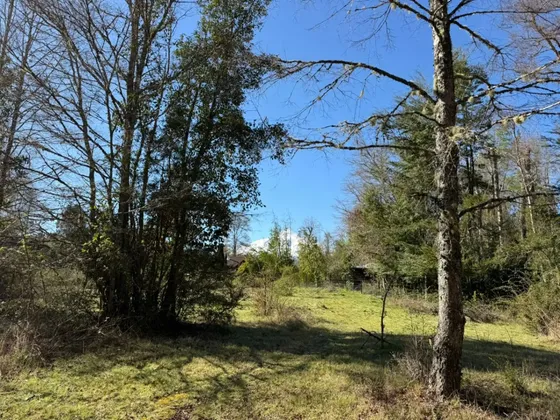 Venta Terreno Molco Alto 4 Hectáreas