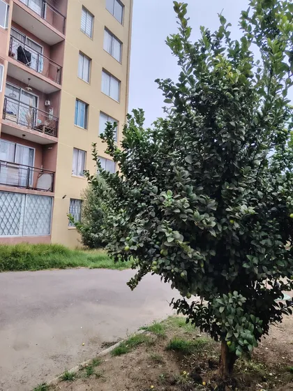 Hermoso Departamento