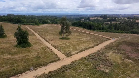 Terreno Frutillar Rol Propio Luz Agua Caminos (154492)