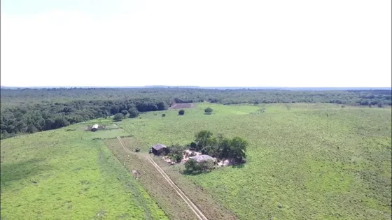 Fazenda 500 Alqueires (1210 Hectares), Juara - Mt