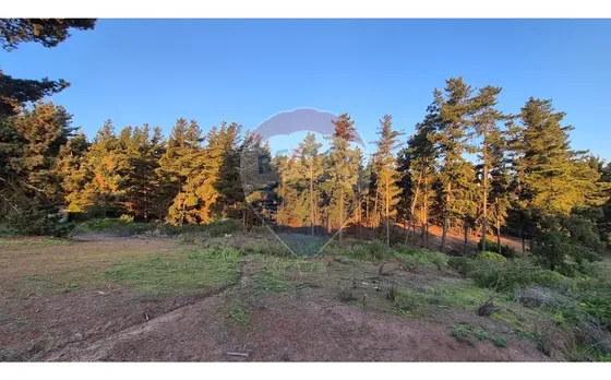 Terreno En Loteo Rol Propio/los Pinos (1.620 Mts2)