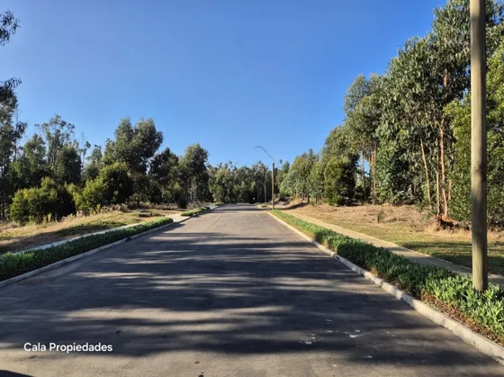 Excelente Terreno De 904 M En Costa Quilen 
