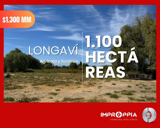Campo 1.100 Ha En Longaví | Gran Oportunidad De Inversión