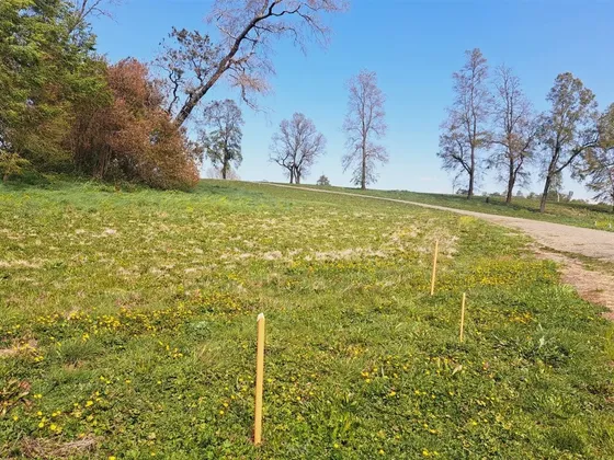 Se Vende Parcela A 5 Min De Osorno En Bosques Del Tijeral
