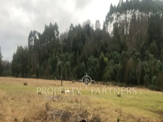 Parcelas Sector De Los Lagos