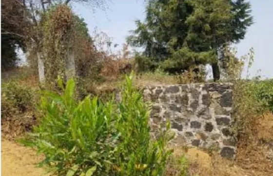 Terreno  En Venta En Morelos
