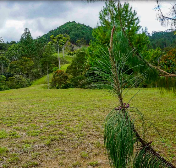 Lote En Venta En El Retiro, Antioquia. 
