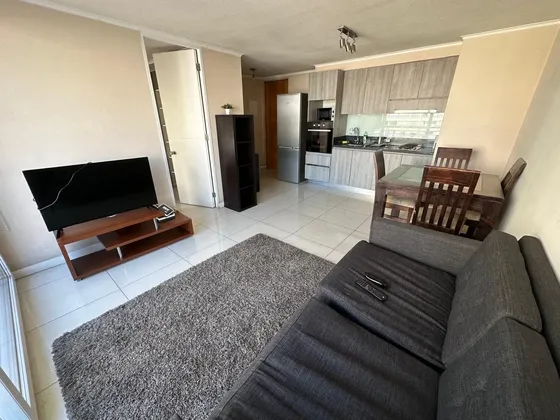 Amoblado - Tarapacá Con San Francisco