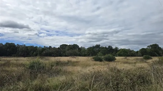 Parcela En Venta En Puerto Montt