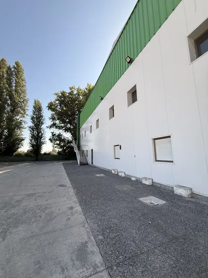 Galpón Comercial O Industrial Ruta Sur Paine