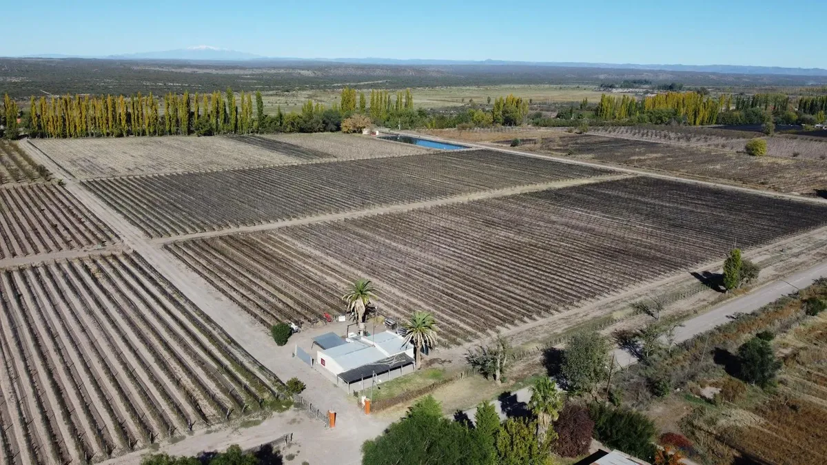 20-Hectare Estate in Calle Larga – Premium Rural Setting