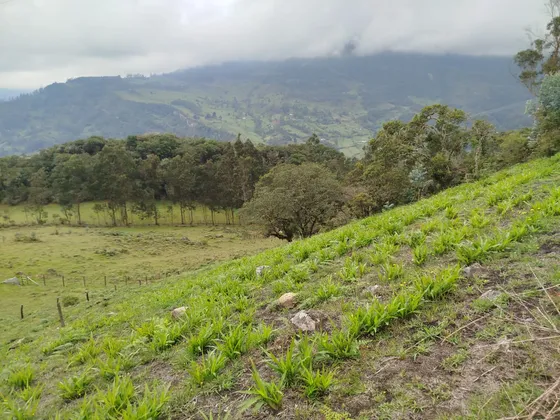 Finca En Venta
