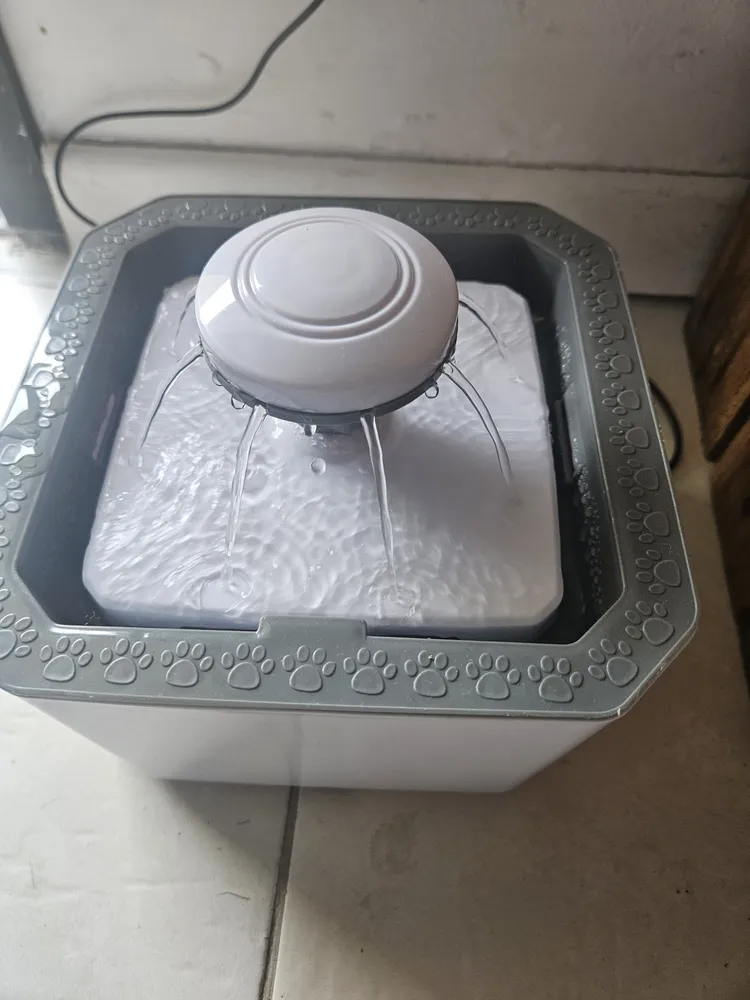 Fonte Bebedouro De Água 2.5l Filtro Cães E Gatos Premium Pet Cor Branco - Imagem 4