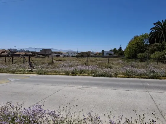 Venta De Terreno Comercial Rosario De Peñuelas 3776m2