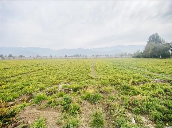 Sitio Urbano En Venta, Rinconada De Los Andes