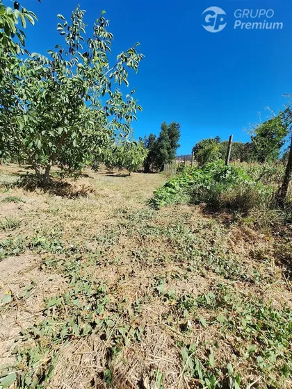 Parcela En Venta En Santa Juana, 8va Region