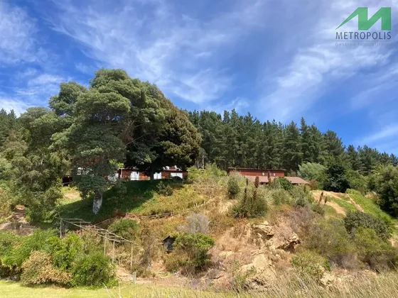 Casa En Venta De 7 Dorm. En Vichuquén