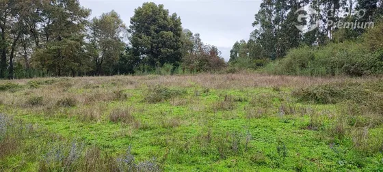 Sitios En Venta En Arauco, Sector Los Patos