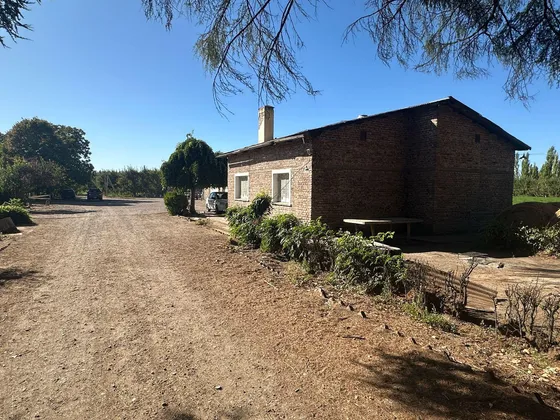 Venta De Chacra En Allen, 6 Hectareas