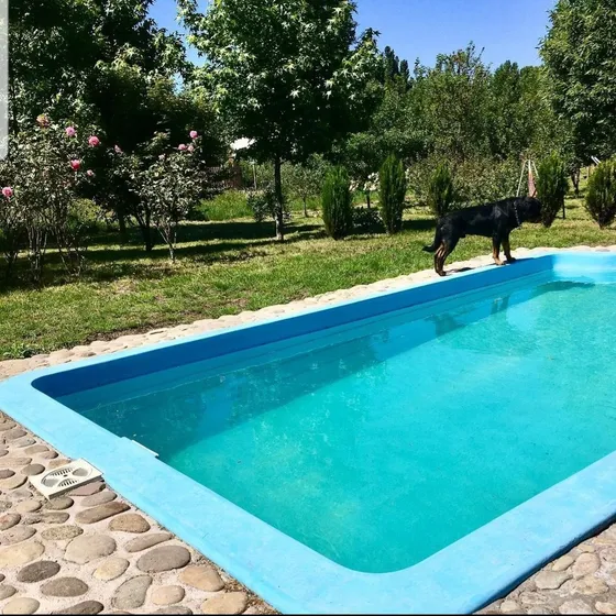 Arriendo Parcela 5.000 M2 (no Acepto Subsidio De Arriendo)