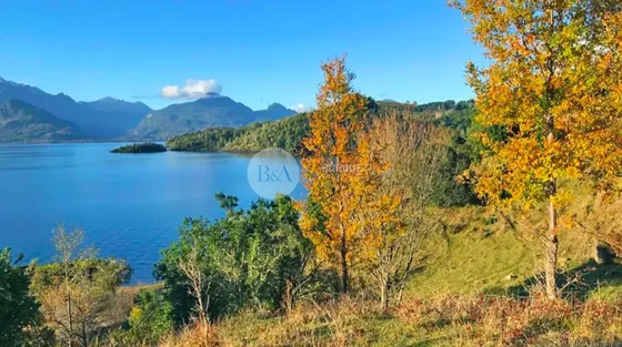21650 - Exclusivas Parcelas A Orillas Del Lago Ranco