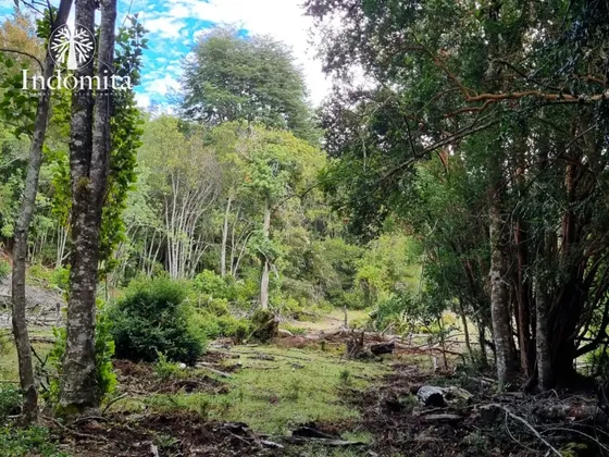 Campo Con Estero A Orilla De Camino En Llanada Grande