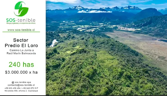 Invierte En 240 Has De Naturaleza En La Zona Norte De Aysén