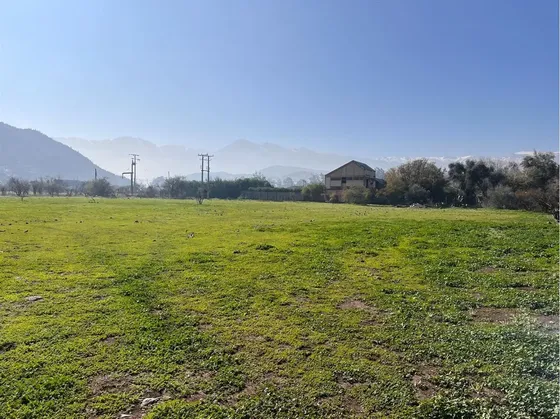 Parcela En Venta En Colina