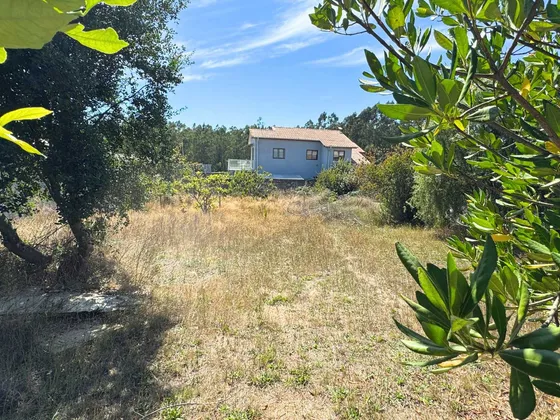 Terreno Para Construir En Tomé (88284)