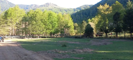 Campo Maderero
