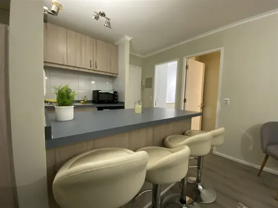 Departamento En Venta De 1 Dorm. En Pucón