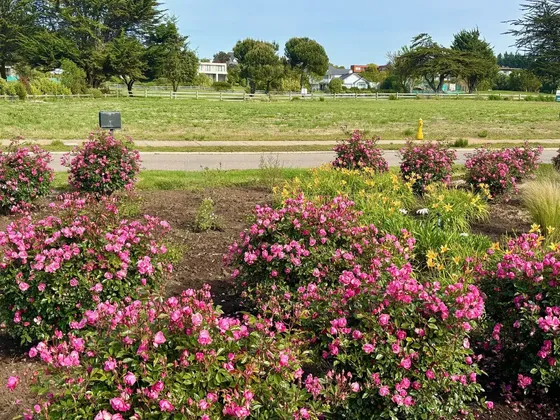 Vista Cancha Golf, Frente Plaza, Sector G, 1.740 M2, Planos